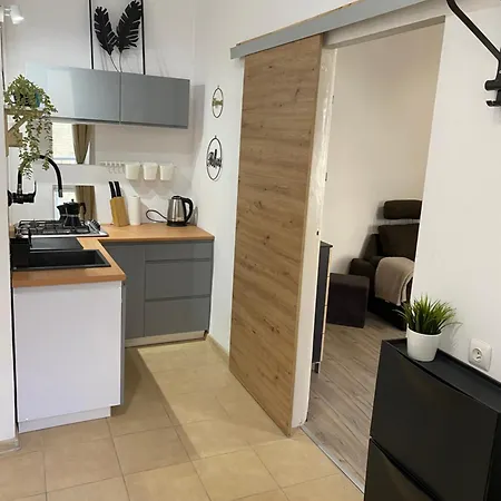 Sparrow In Kazimierz Apartmán