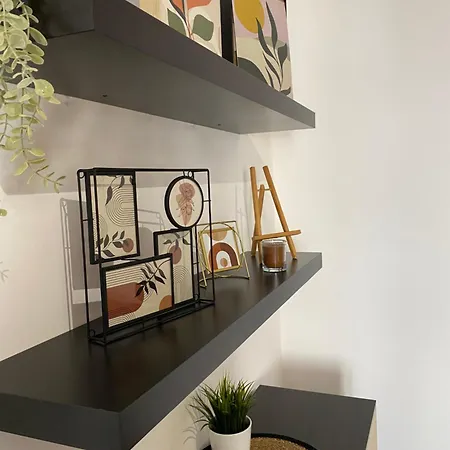 Sparrow In Kazimierz