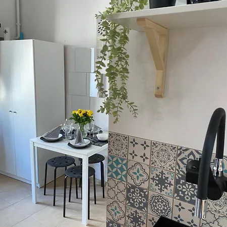 Sparrow In Kazimierz Krakow