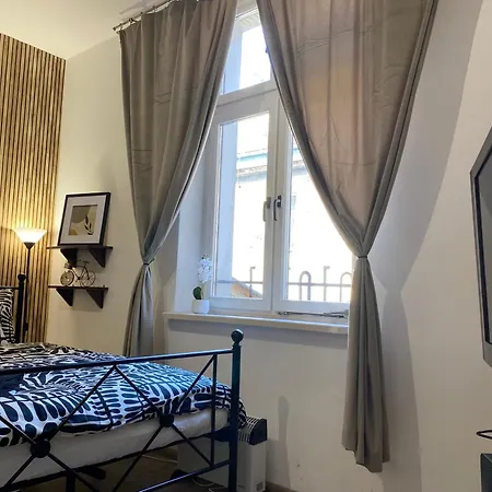 Sparrow In Kazimierz *