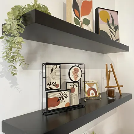 Sparrow In Kazimierz