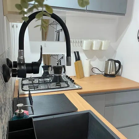 Sparrow In Kazimierz