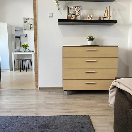 Sparrow In Kazimierz