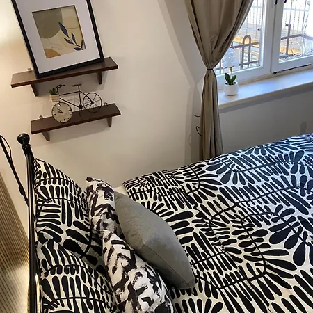 Sparrow In Kazimierz Krakow