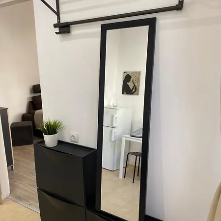 Sparrow In Kazimierz *